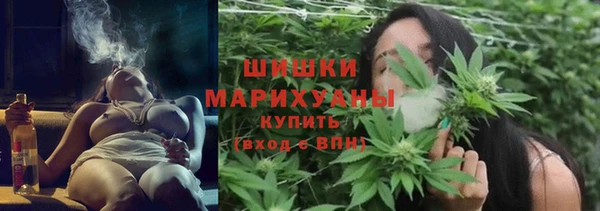 mix Богородицк