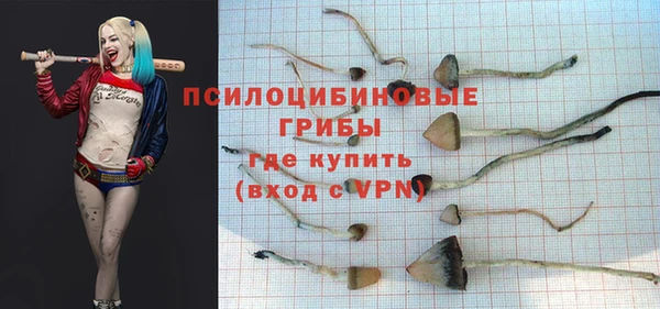 не бодяженный Богородск