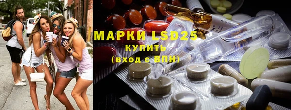 ГАЛЛЮЦИНОГЕННЫЕ ГРИБЫ Валдай