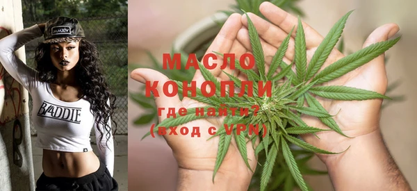 mix Богородицк