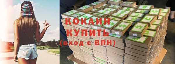 mix Богородицк