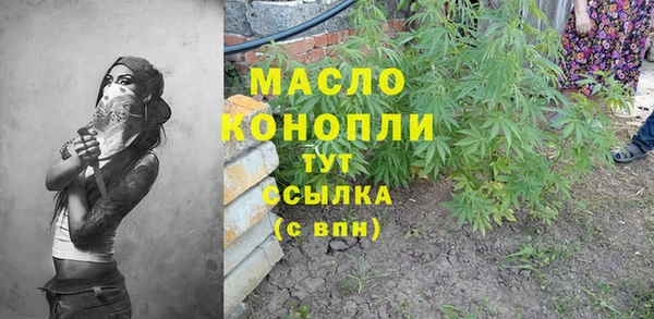 mix Богородицк